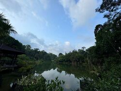 College Green (D11), Detached #499150781